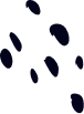 Carlo Alfieri Design